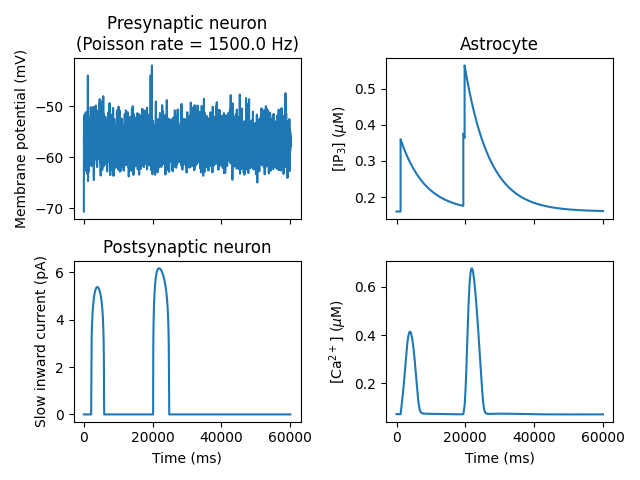 _images/astrocyte_interaction.png