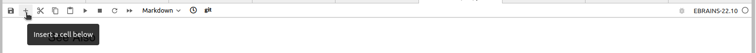 ../_images/insert_cell.png