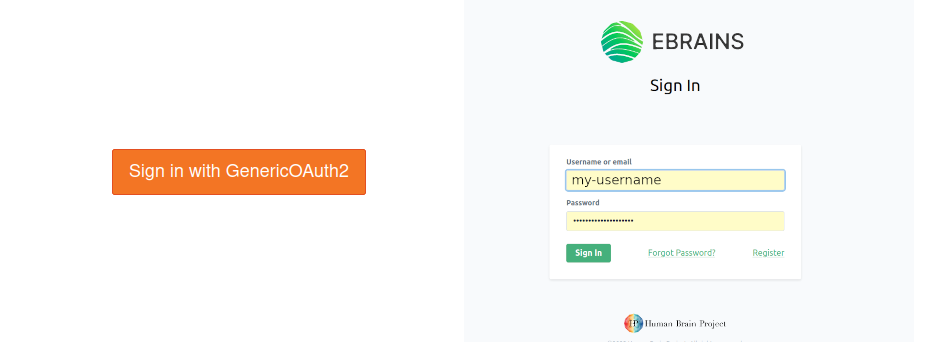 ../_images/signin-ebrains.png